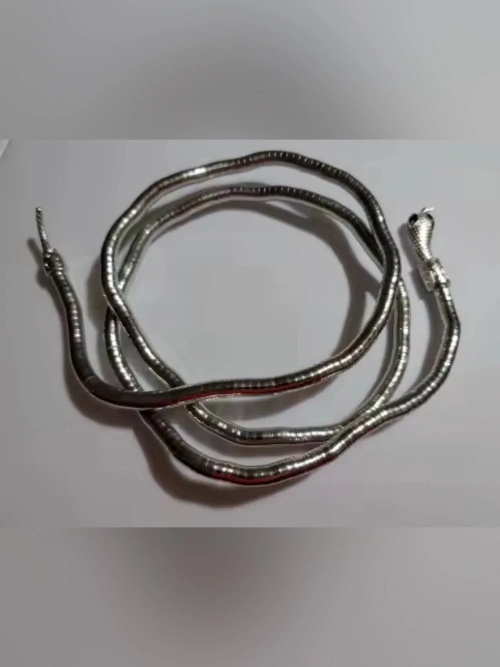 Silver Snake Coil Reptile Bracelet for Pets